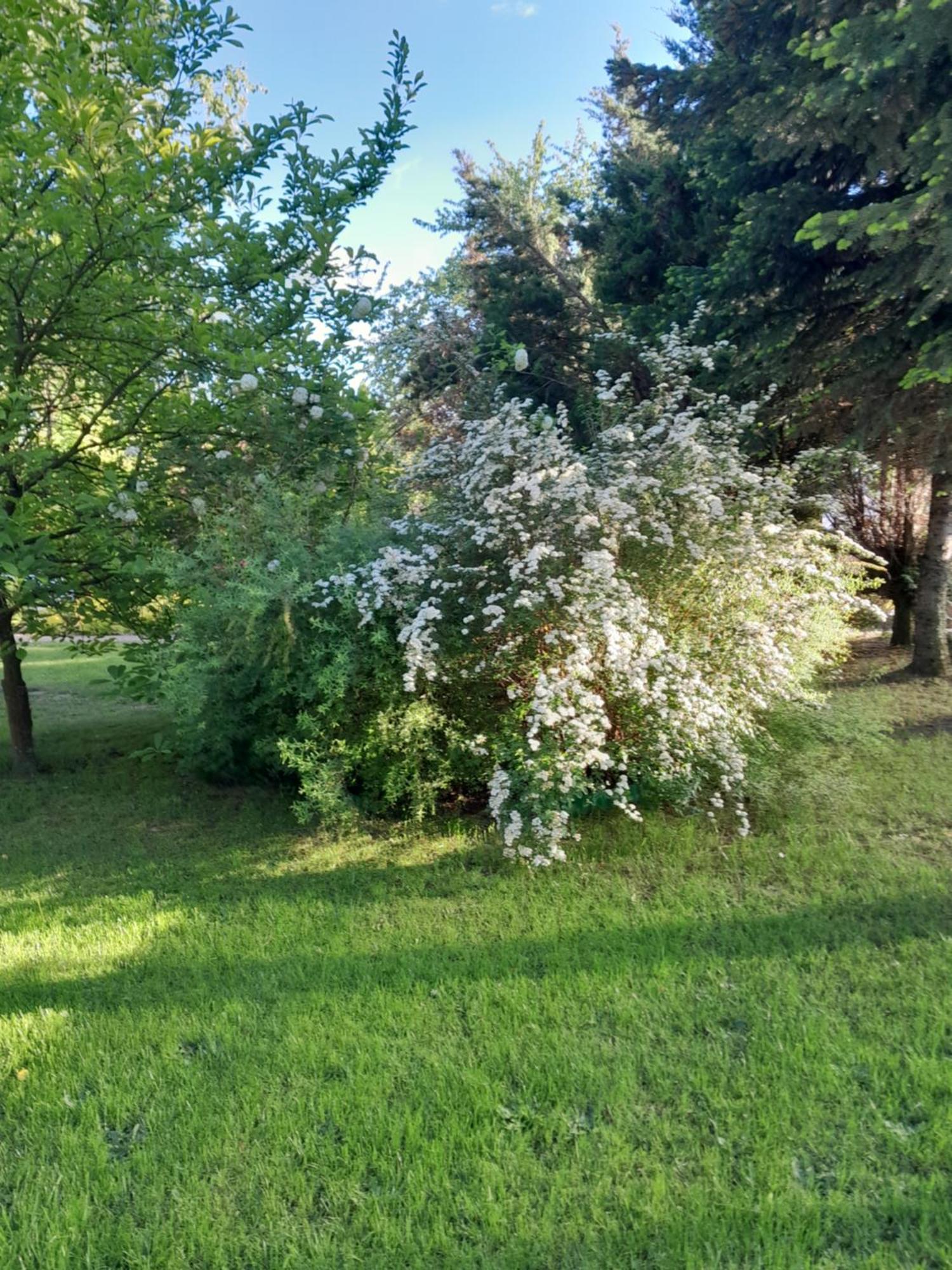 Domek Pod Brzozami Z Jacuzzi ,Grillem I Tarasem Przemyśl Exterior foto